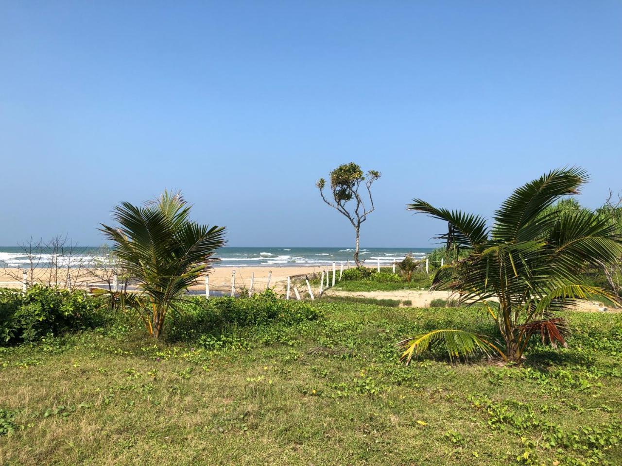 فندق Bliss Bay نيلافيلي المظهر الخارجي الصورة